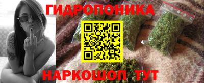 PSILOCYBIN Заводоуковск