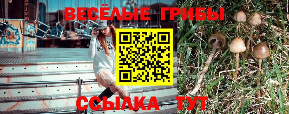 Псилоцибиновые грибы ЛСД  Псилоцибиновые грибы Cubensis  Вход с VPN  Кинель 